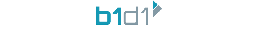 logo-b1d1web